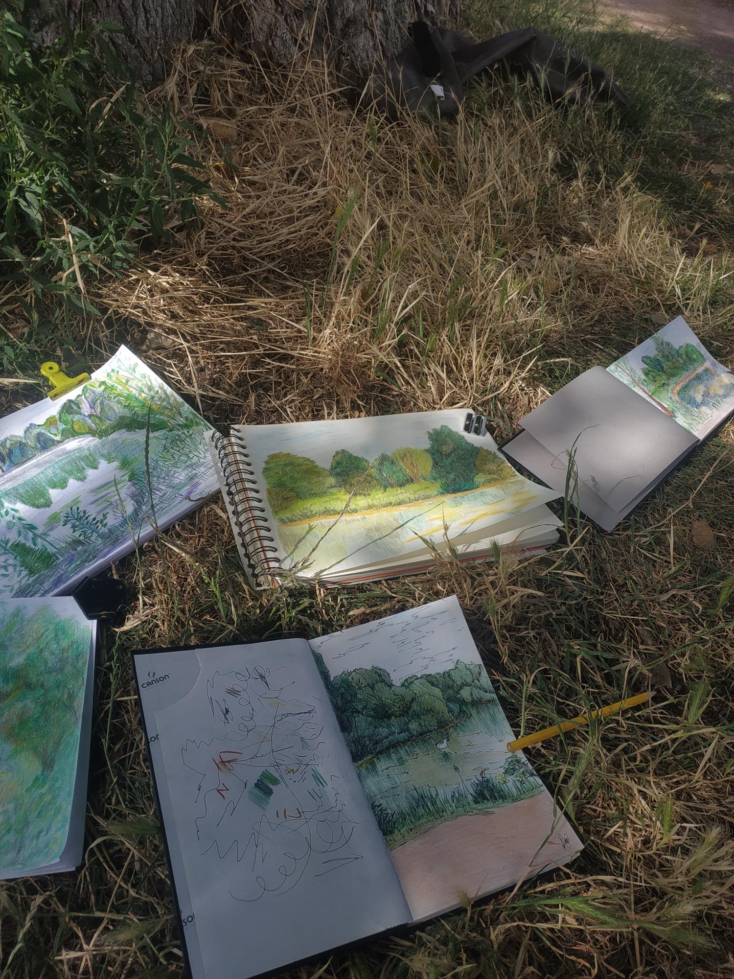 MicrosoftTeams-image (278)