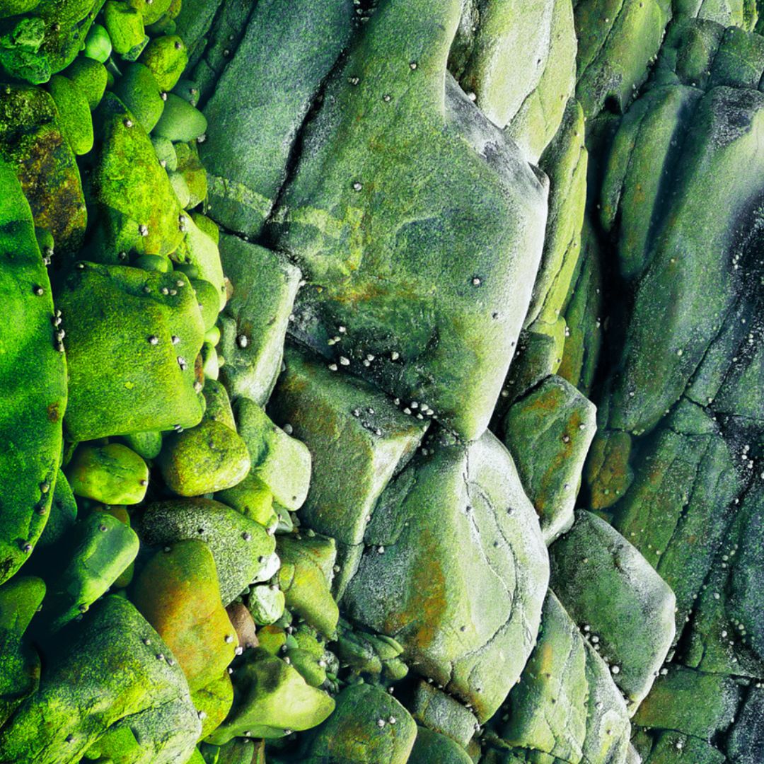 Détail - Paysages en transition