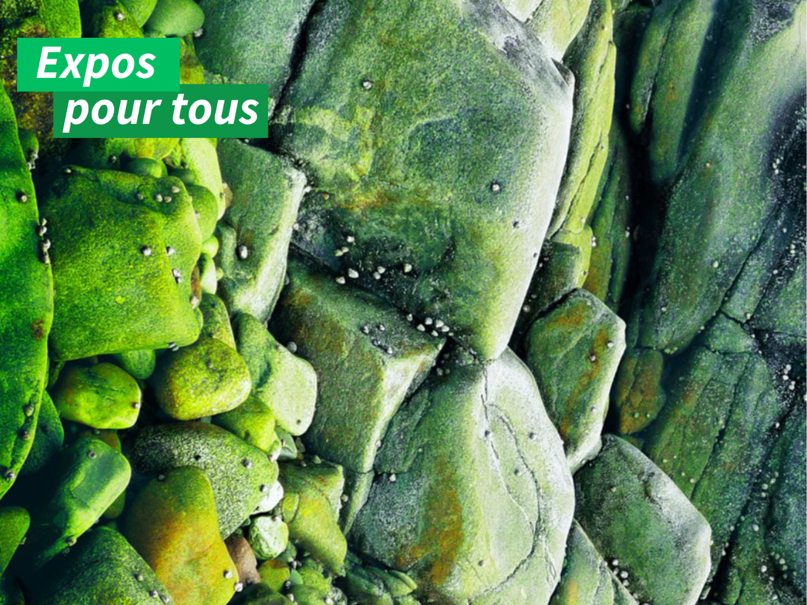 paysages en transition #1