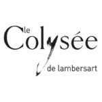 Logo Colyse?E Noir [Converti]
