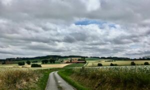 Screenshot_20251009_082011_Maps