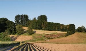 Screenshot_20251121_153243_Maps